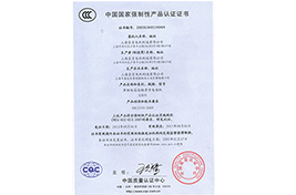 中國國家強制性產品認證證書1